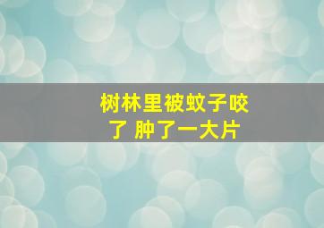 树林里被蚊子咬了 肿了一大片